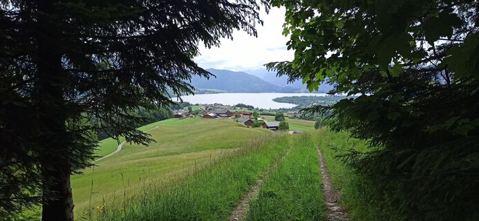 Foto von Alexander Brandmair entlang der Tour
