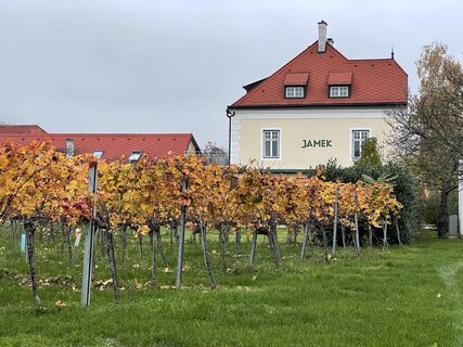 Foto von Harald Seisenbacher entlang der Tour