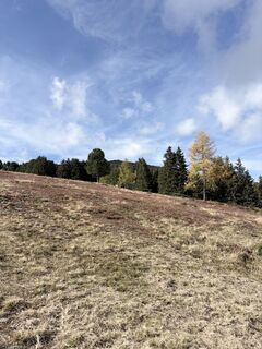 Photo de Barbara Leitner 2 le long du parcours
