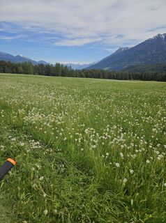 Foto von Michaela Kuntner entlang der Tour