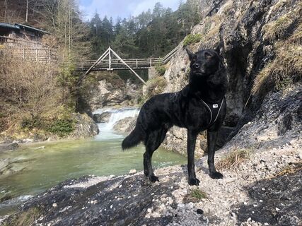 Foto von BenHobo entlang der Tour