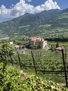 Foto von Peter Schäfer entlang der Tour
