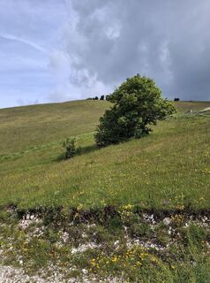 Fotografija s spletne strani Raffaella Laghetto na poti