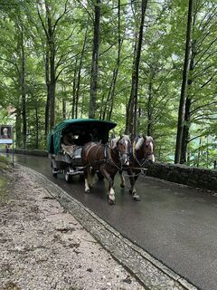 Foto de Andreas Hoffmann a lo largo del recorrido