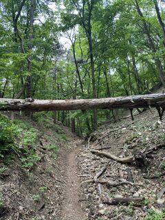 Fotografia z BHC84 na trase