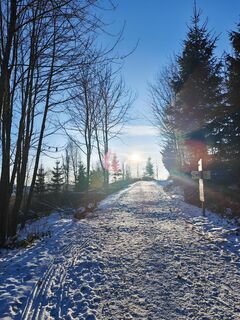 Foto von Jackson M. Frischauf entlang der Tour