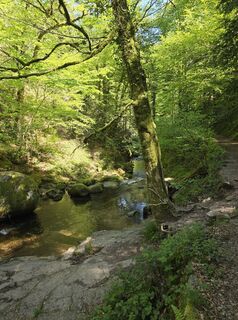 Fotografija s spletne strani Michel Kennel na poti