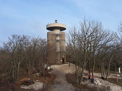 Fotografia z Károly Soltész na trase
