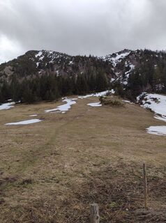 Fotografia z Steffen Weibrecht na trase