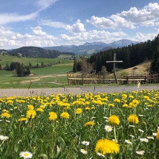 Westallgäuer Frühling