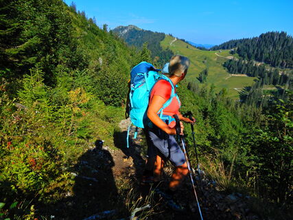 Niederalpl - Hohe Veitsch - Seewiesen