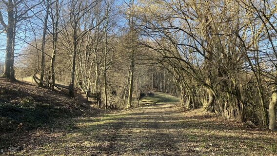 Fotografia z Christian Kakuska na trase