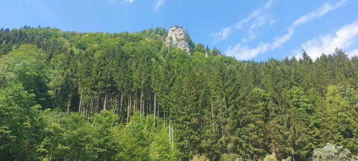 Foto von Klaus Gruber 3 entlang der Tour