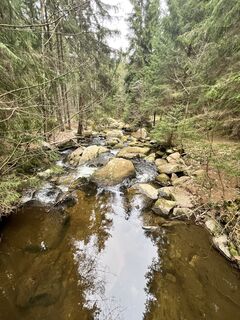 Foto de Gerhard Doberschek a lo largo del recorrido