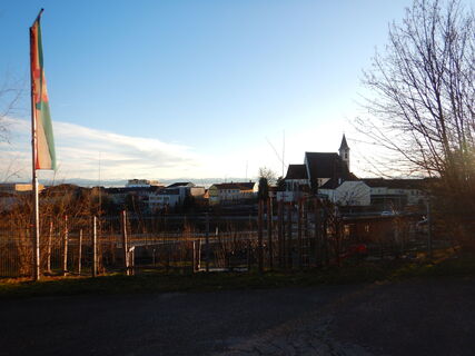 Photo de Flora 1952 le long du parcours