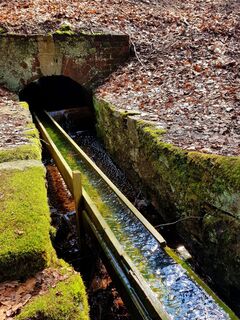 Wasserrad im Landschaftsschutzgebiet Erzengler Teich