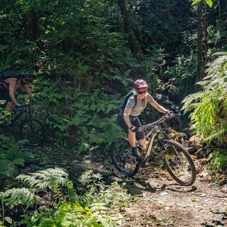Ceneri Bike