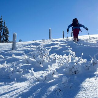 Schneeschuhwanderer bei Neuschnee