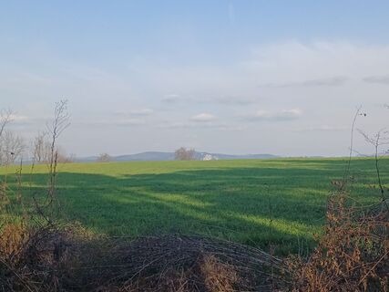 Fotografie z Michaela Wolf na trase