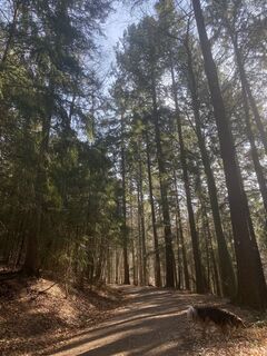 Photo de Laurarom3558 le long du parcours