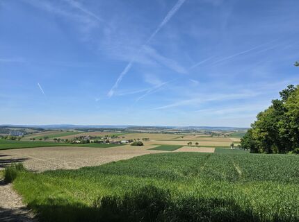 Fotografia z F R 1 na trase