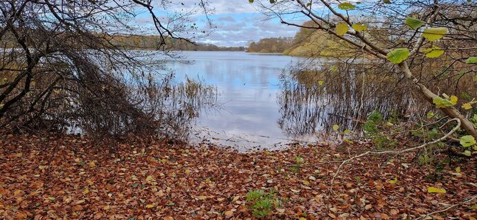 Foto de Bernd Schmitt a lo largo del recorrido