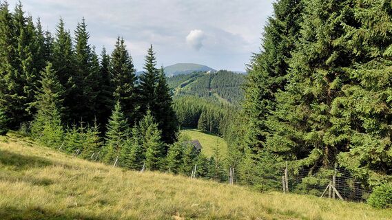 Photo de Wolfgang Arlic 1 le long du parcours