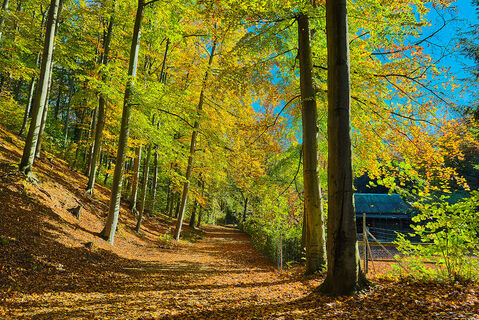 Sahnpark Crimmitschau