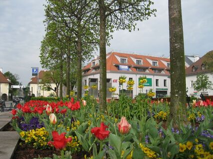 Tulln - Maria Gugging
