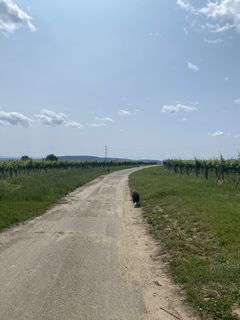 Foto de Florian Gerl a lo largo del recorrido