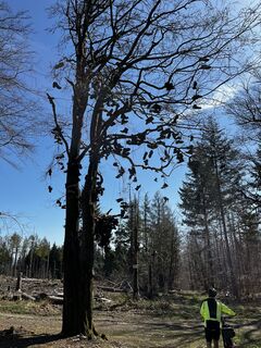Zdjęcie z Peter Beck 3 wzdłuż trasy