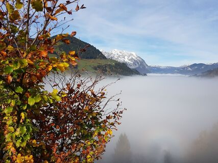 Geh in Dich Weg