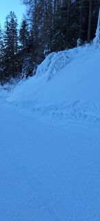 Foto von Gudrun Knorre entlang der Tour