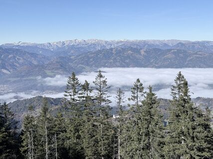 Fotografia z Anton Lilek na trase