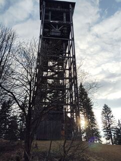 Zdjęcie z Albert Grillitsch wzdłuż trasy