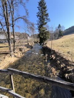 Foto von David Hincziza entlang der Tour