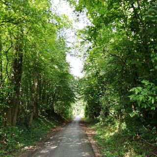 Radweg auf der Ischler Bahntrasse