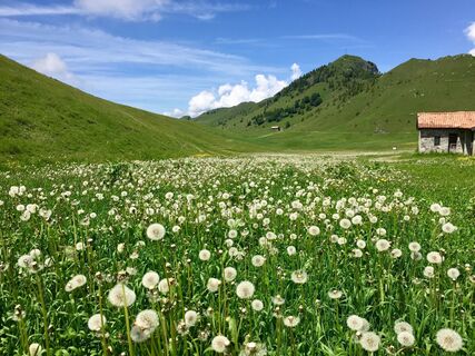Foto von “Jerry” Brunetti entlang der Tour