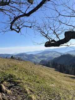 Foto von Susanne Rechsteiner entlang der Tour