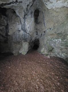 Fotografija s spletne strani Alexander Becker na poti