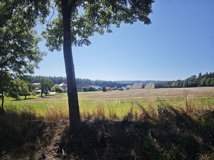 Photo de Michal Šedo le long du parcours