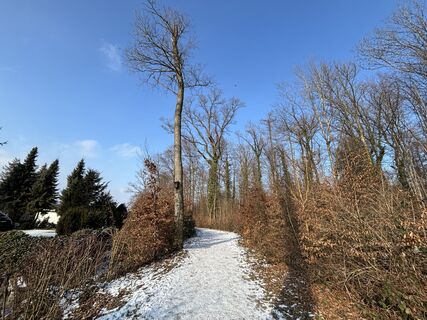 Foto von Pascal Oliver Hauser entlang der Tour