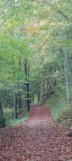 Photo de Hans Klamer le long du parcours