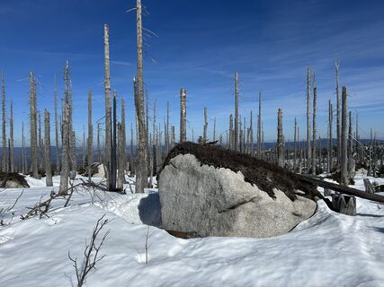 Fotografija s spletne strani Thomas Brandstaetter na poti