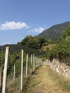 Foto von Martin Kuhn entlang der Tour
