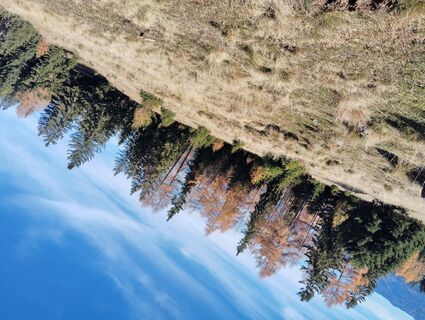 Foto von Albert Grillitsch entlang der Tour