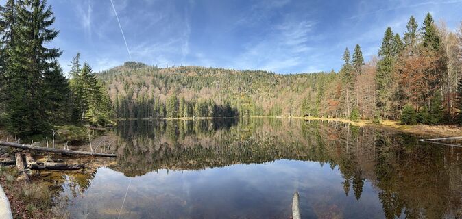 Fotografia z Nikolaus Ludwig 1 na trase