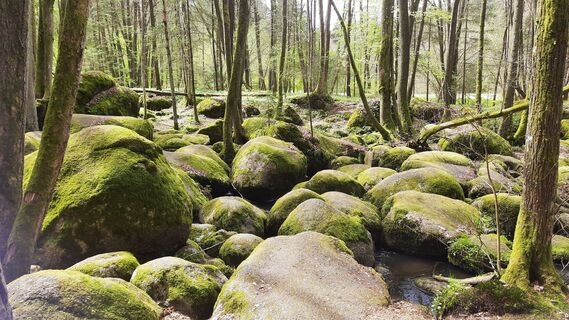 Foto von Petra Bohringer entlang der Tour