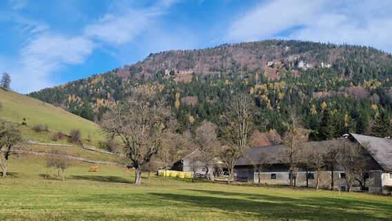 Fotografie z Ernst Brezina na trase