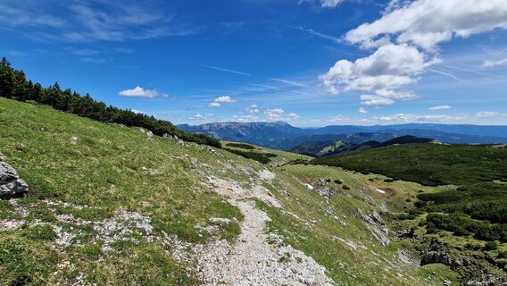 Photo de EP87 le long du parcours